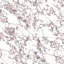 Touche 23-1/2 In. X 47-1/8 In. Porcelain Floor And Wall Tile