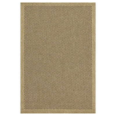 Indoor/Outdoor Area Rug