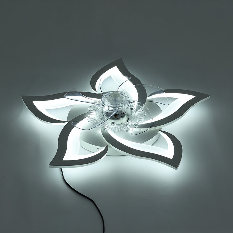 Ceiling Fan with LED Lights