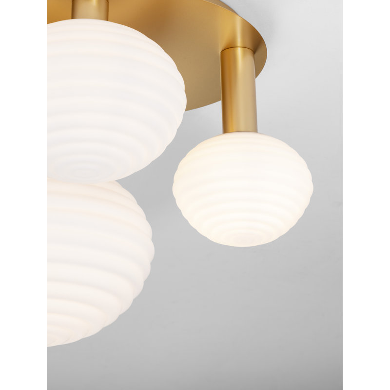 Beckie Glass Spotlight