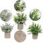 Paquet de 2 petites plantes artificielles en pot d'eucalyptus
