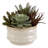 9'' Faux Succulent in Ceramic Pot