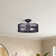 Layken 24'' Ceiling Fan with Light Kit