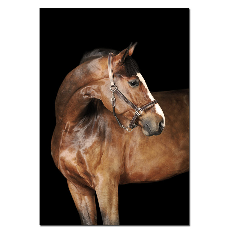 Cheval brun clair - Photographie sans cadre sur papier, H 60 po x l 40po x P 1,5 po