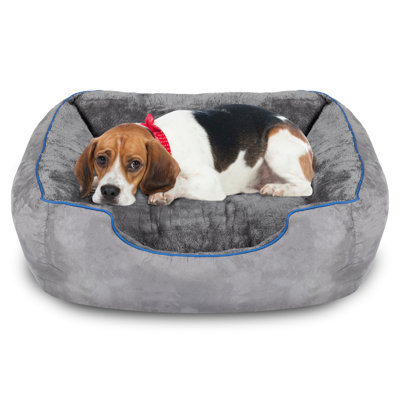 Lit pour chien