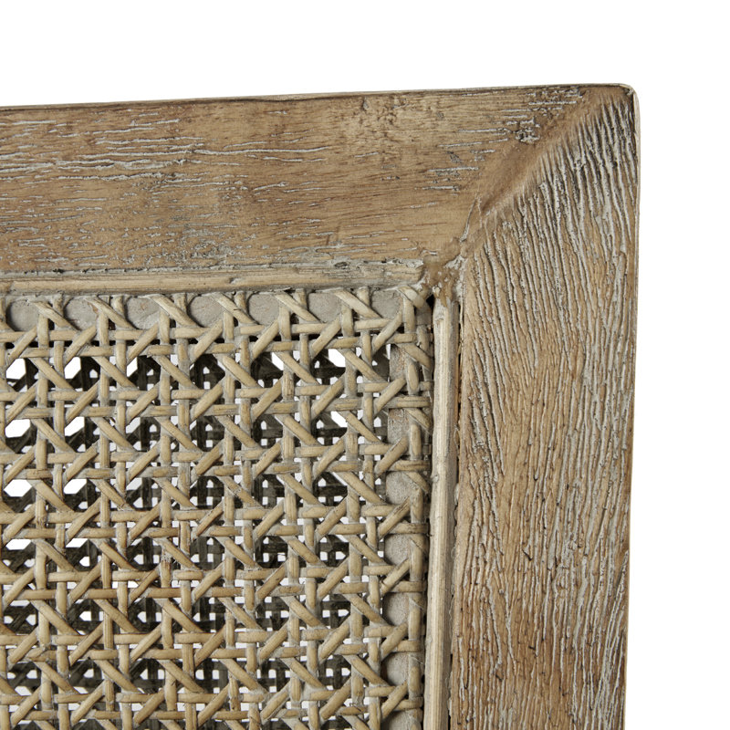 Jennette Avia 28" W Solid Wood Accent Armchair with Cane Back and Sides, Reclaimed Natural Frame