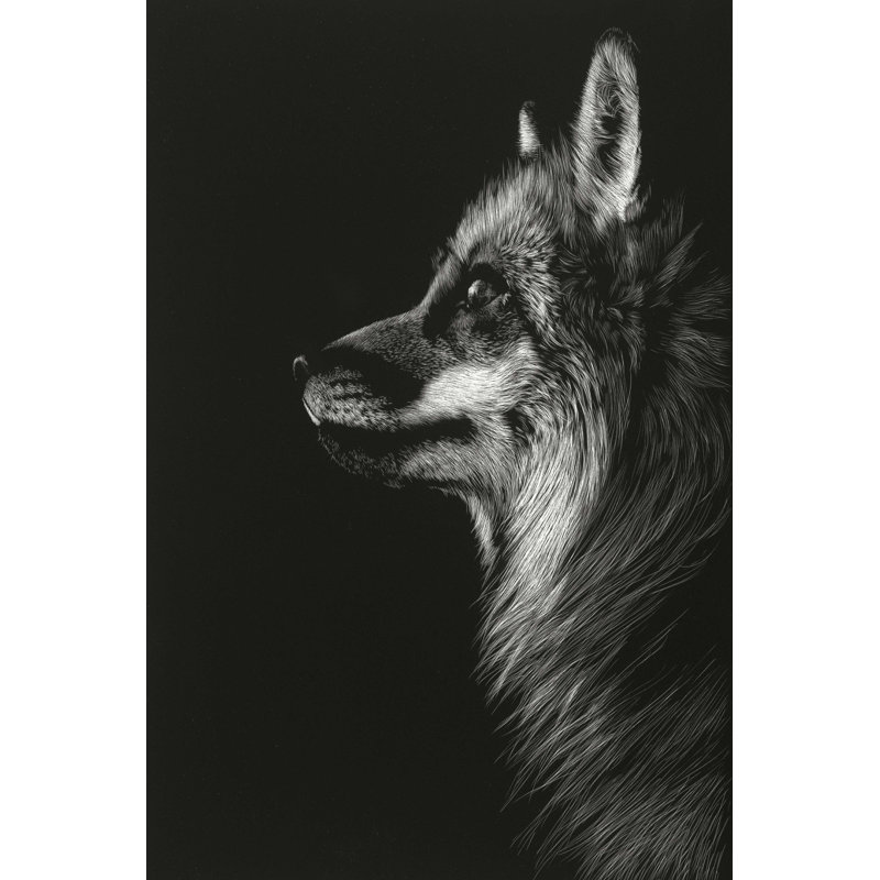 «Black Glimpse V» par Julie T. Chapman - reproduction d'art sur toile tendue, H 18 po x l 12 po