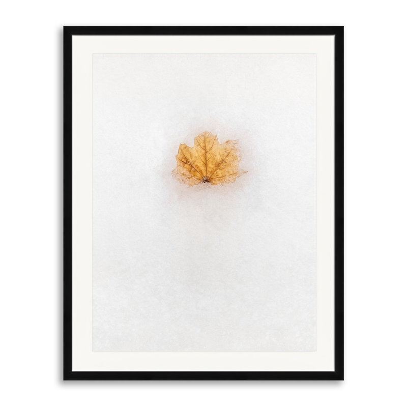Frozen In Time Print by Scott Norris, Black Framed Paper, 31.25" H x 25.25" W