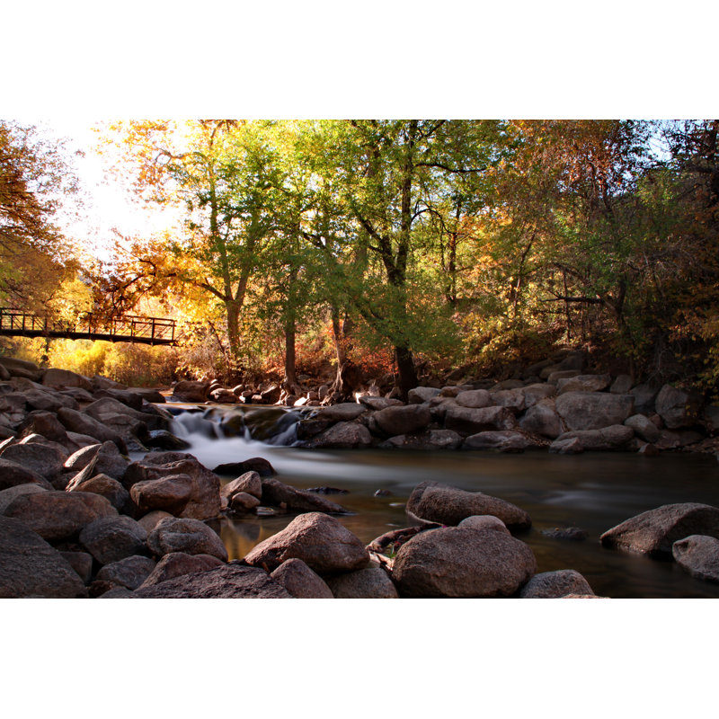 Autumn - Wrapped Canvas Print, 51cm H x 76cm W x 3.8cm D