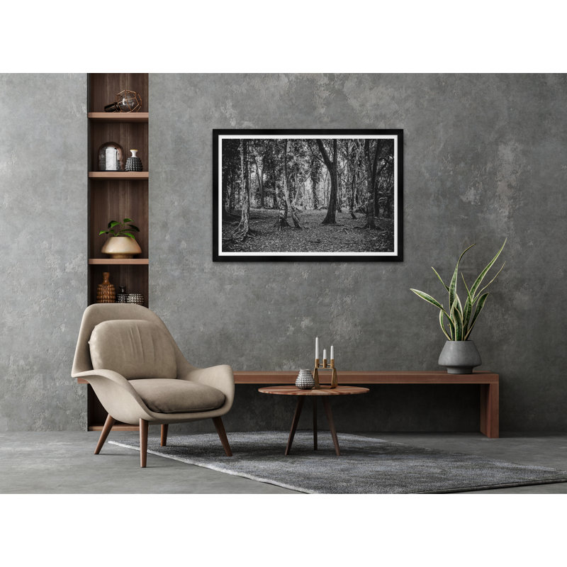 Forêt - Photographie avec cadre photo