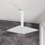 Pomme de douche fixe Rain-90695582