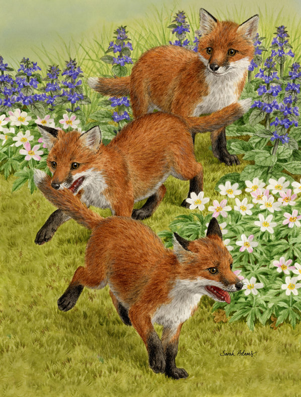 Drapeau de jardin Berrier Fox Cubs