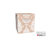 Premium Cubes Fabric Storage Bin