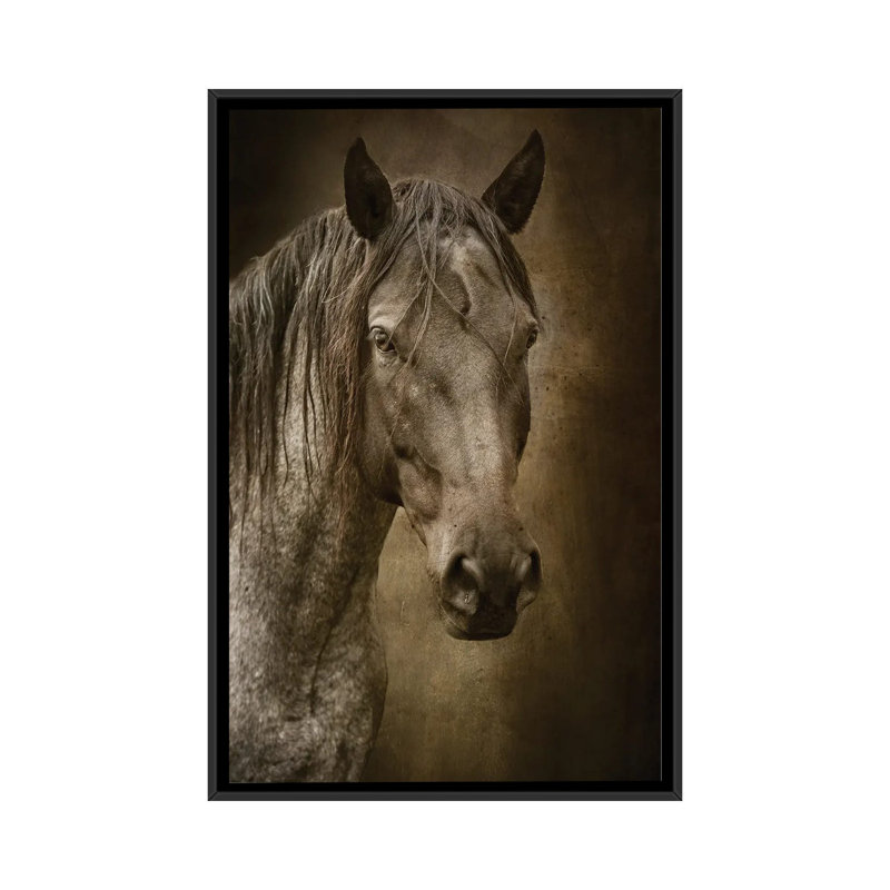 Black Horse 1 Piece Floater Frame Wall Art on Canvas