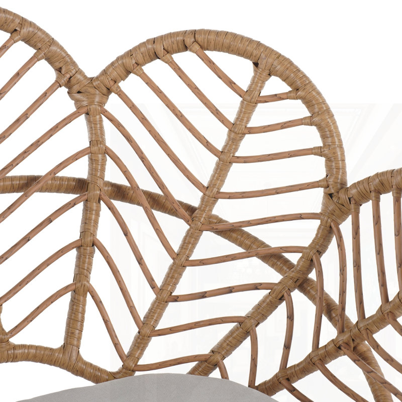 Ensemble de 2 chaises d'extérieur en osier