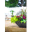 Pot à fleurs 20 po Mayne Evolve-1173114617