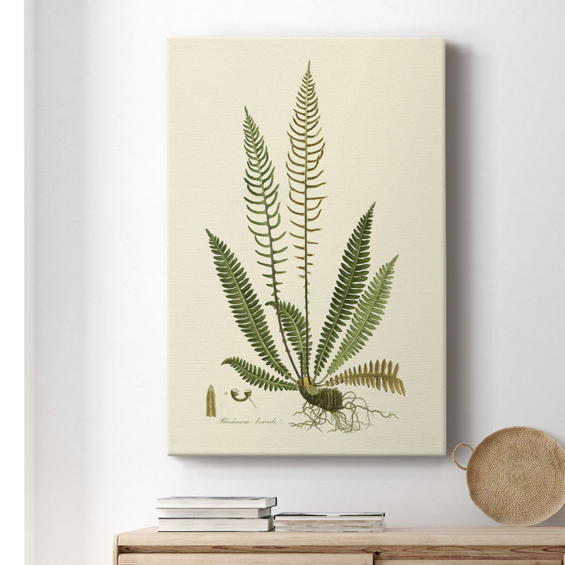 Curtis Ferns III - peinture sur toile tendue, H 36 po x l 24 po x P 1,5 po