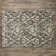 Huntingtown Ikat Indoor Rug