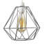 20 cm H Novelty Pendant Shade ( Screw On )-17748383
