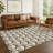 Machine Washable Indoor/Outdoor Jourdan ACN2379 Geometric Rug-725914500