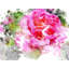 Floral 0824 Print by Chamira Young-71201049-71201051