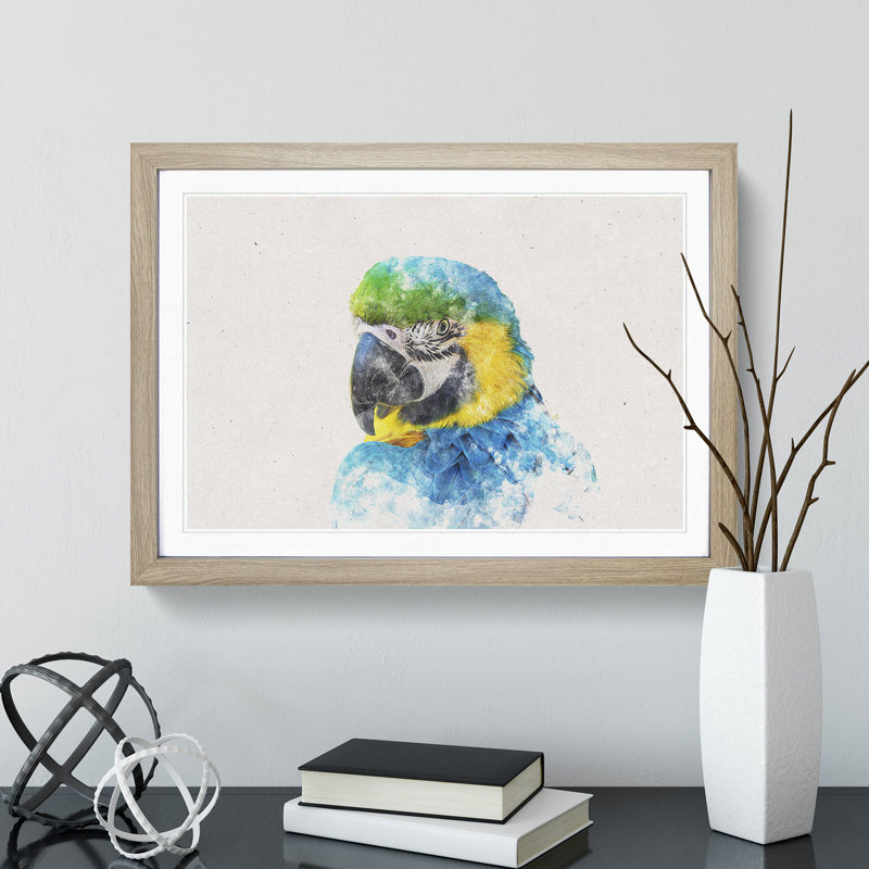 Blue and Yellow Macaw Parrot - Picture Frame Graphic Art Print, 40cm H x 60cm W x 2cm D, Oak Framed