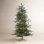 Haileyrose 5' Pre-Lit Pine Christmas Tree