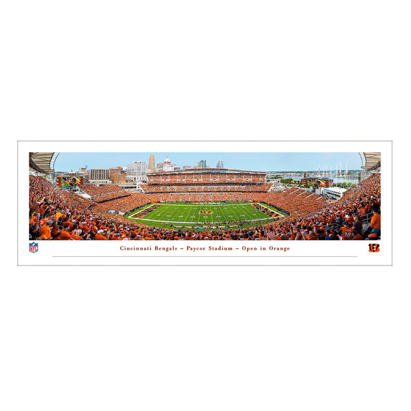 Cincinnati Bengals, Out - Standard Frame, No Mat, Paper, 13.5" H x 40" W x 0.1" D