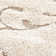 Benedetti Area Rug