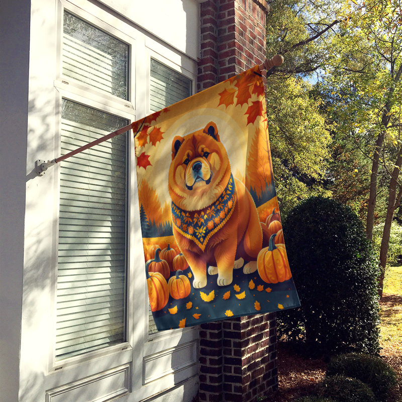 Drapeau de maison en polyester à double face H 40 po x l 28 po