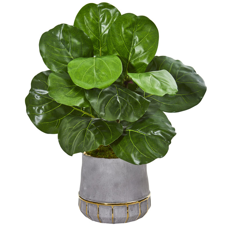 23 " H Faux Fiddle Leaf Fig Plant in Ceramic Vase