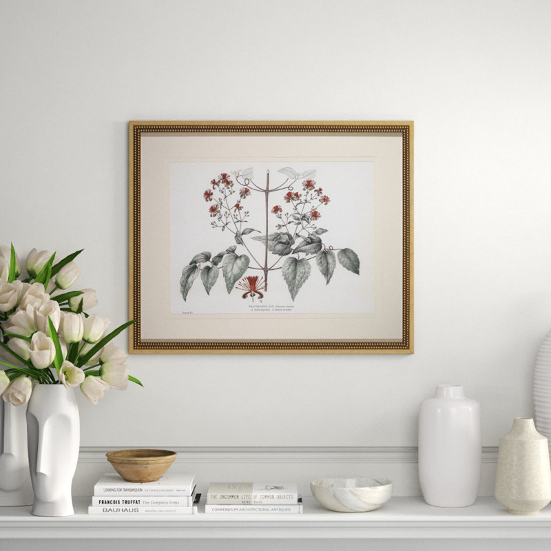 Traveller's Joy Print