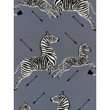 Zebras Wallpaper Roll by Scalamandré