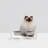 Small Clear Elevated Feeder with Silver Bowls-1580976700
