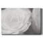 Roseudes I - reproduction sur toile tendue-538970512