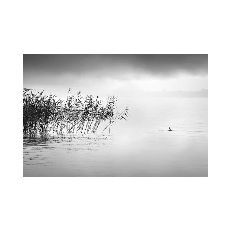 A Hazy Shade Of Winter by George Digalakis - Wrapped Canvas Print, 20.32 cm H x 30.48 cm W