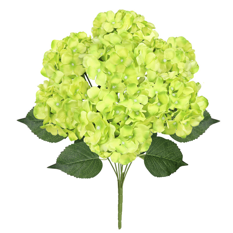 Tige d'hortensia de luxe Cragmont, Vert
