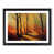 Black Framed selected