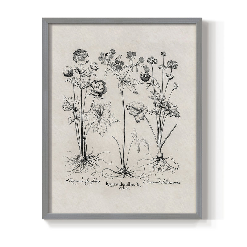 Reproduction florale rétro encadrée Cccxxv - bois massif, Gris, H 21 po x l 17 po