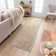 Oriental Indoor Rug