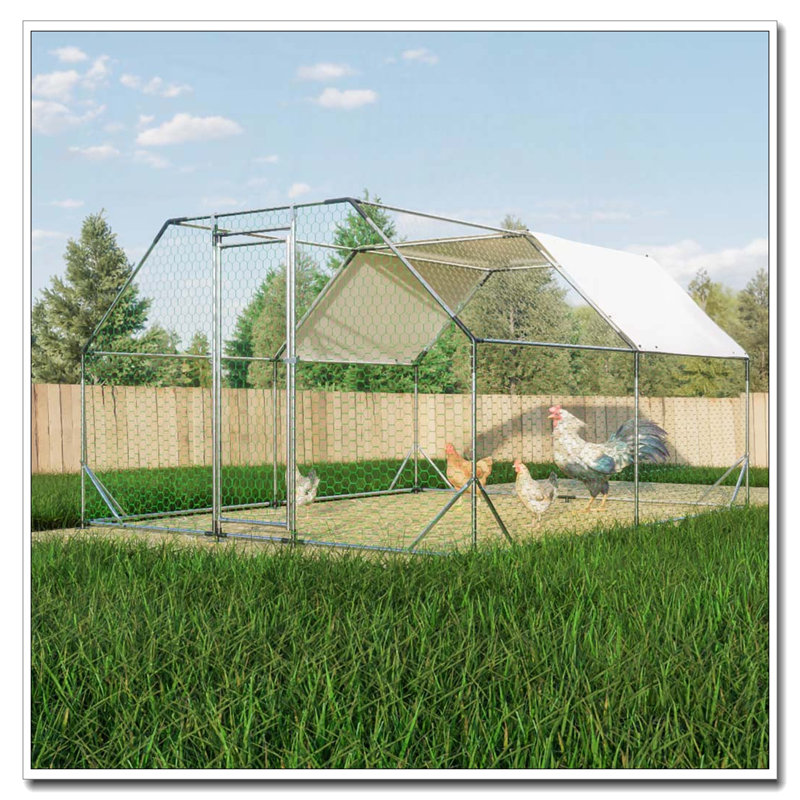 Grand poulailler en métal galvanisé, H 76,32 po x l 154,08 po x P 119,28 po