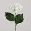 20 po Fleurs d'hortensia artificielles, ensemble de 3-882177220