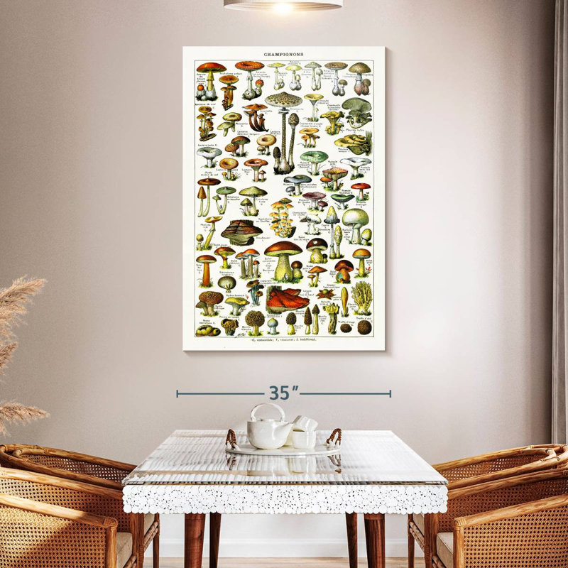 Yarlin Mushroom Varieties, 51" H x 34" W