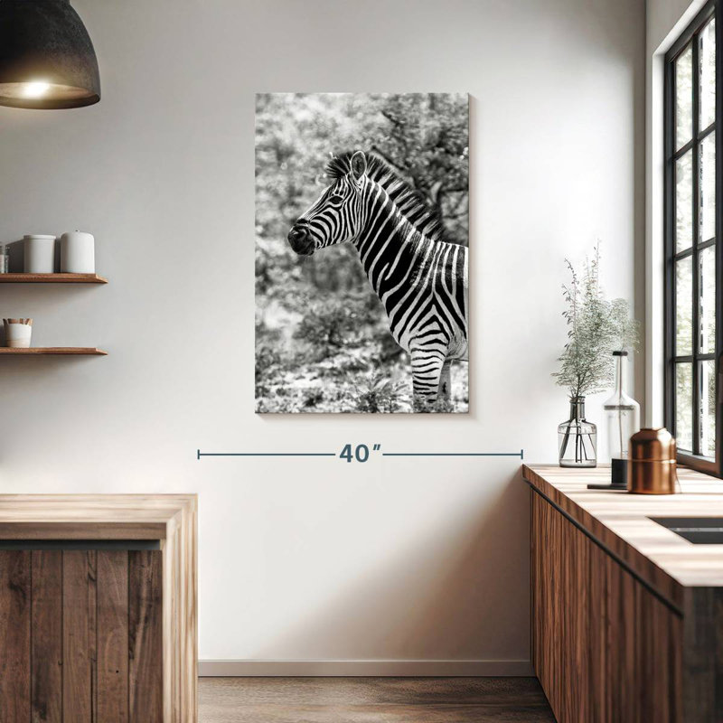 BW Portrait of Burchell's Zebra II, H 39 po x l 26 po
