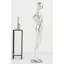 Annalyssia Bust Decorative Object