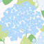 Hydrangea Wallpaper