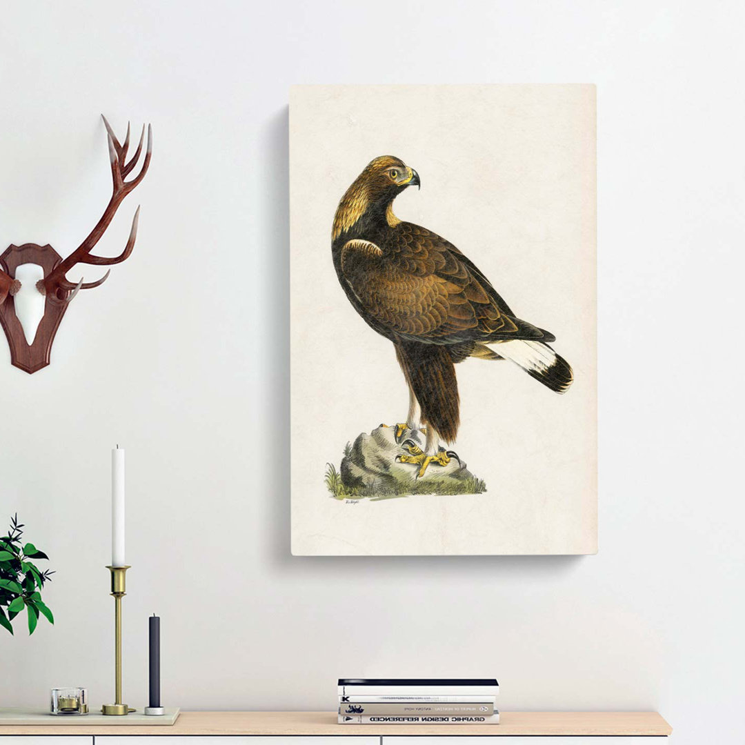 Golden Eagle by Von Wright - Wrapped Canvas
