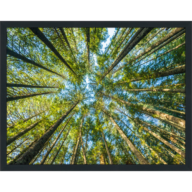 3 - Pieces Modern & Contemporary, 25.5" H x 40.5" W x 1" D