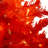 Lighted  Santa Hat Style Christmas Tree Set Of 2, 4Ft Artificial Tree With Warm White Lights, Christmas Tree For Decoration Inside And Outside