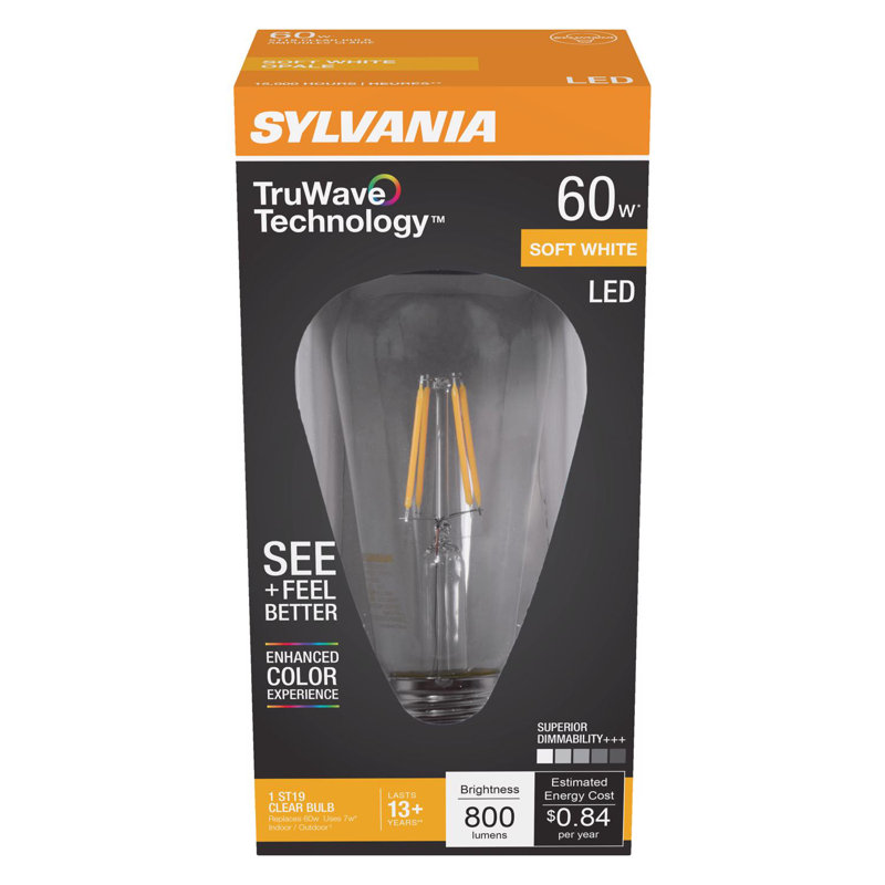 Ampoule DEL Sylvania TruWave ST19 E26 (moyenne) blanc doux, équivalente à 60 watts, paquet de 1